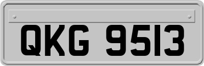 QKG9513