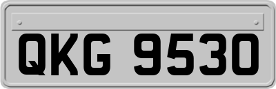 QKG9530