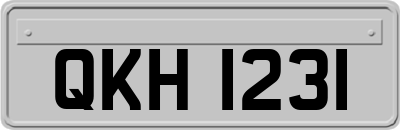 QKH1231