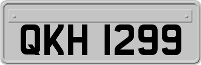 QKH1299