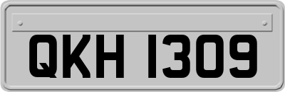 QKH1309