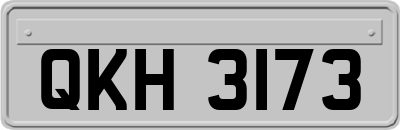 QKH3173