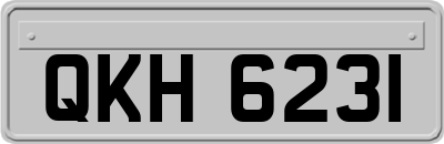 QKH6231