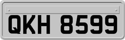 QKH8599