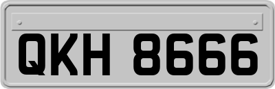 QKH8666