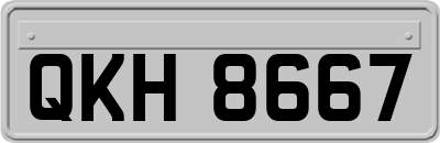 QKH8667