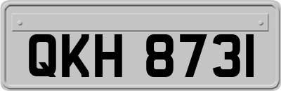 QKH8731