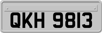 QKH9813