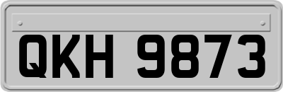 QKH9873