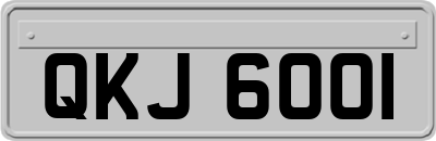 QKJ6001