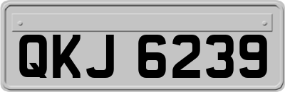 QKJ6239