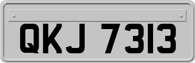 QKJ7313