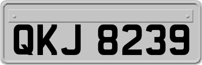 QKJ8239