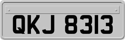 QKJ8313