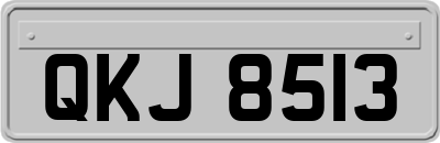 QKJ8513