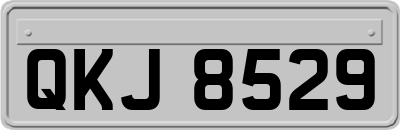 QKJ8529