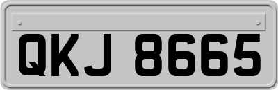 QKJ8665