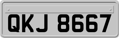 QKJ8667