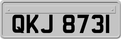 QKJ8731