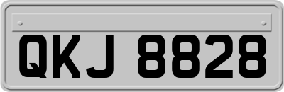 QKJ8828