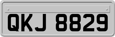 QKJ8829