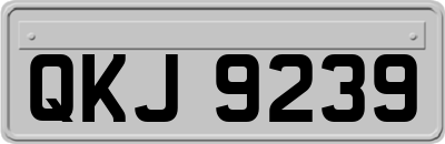 QKJ9239