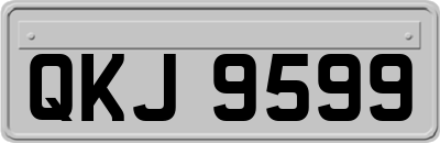 QKJ9599