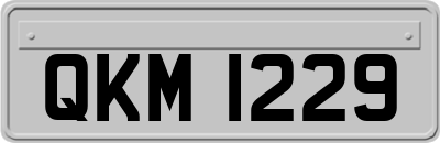 QKM1229