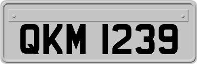 QKM1239