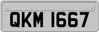 QKM1667