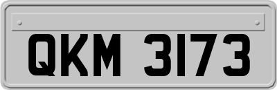 QKM3173