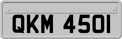 QKM4501