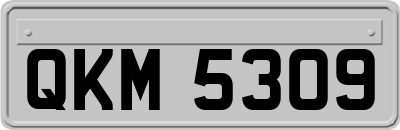 QKM5309