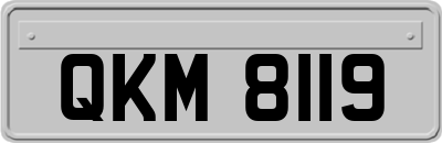 QKM8119