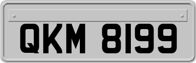 QKM8199