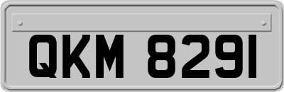 QKM8291