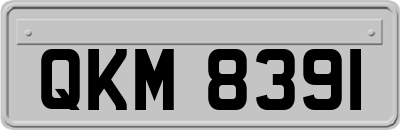 QKM8391