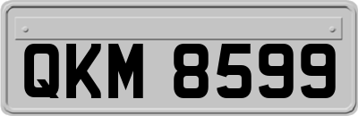 QKM8599