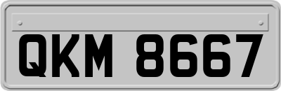 QKM8667