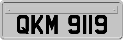 QKM9119