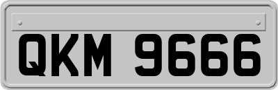 QKM9666