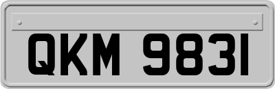 QKM9831