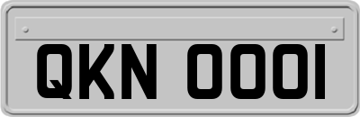 QKN0001