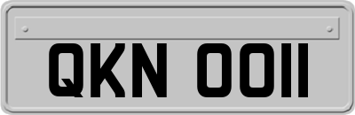 QKN0011