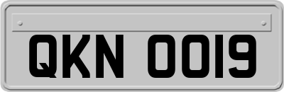 QKN0019