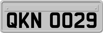 QKN0029