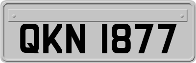 QKN1877