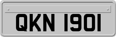 QKN1901