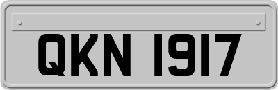 QKN1917