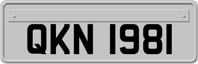 QKN1981